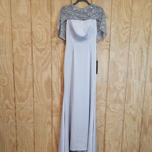 Alexander By Daymor NEW Quartz Silver Rhinestone Cape Maxi Ballgown Size 4 #1569